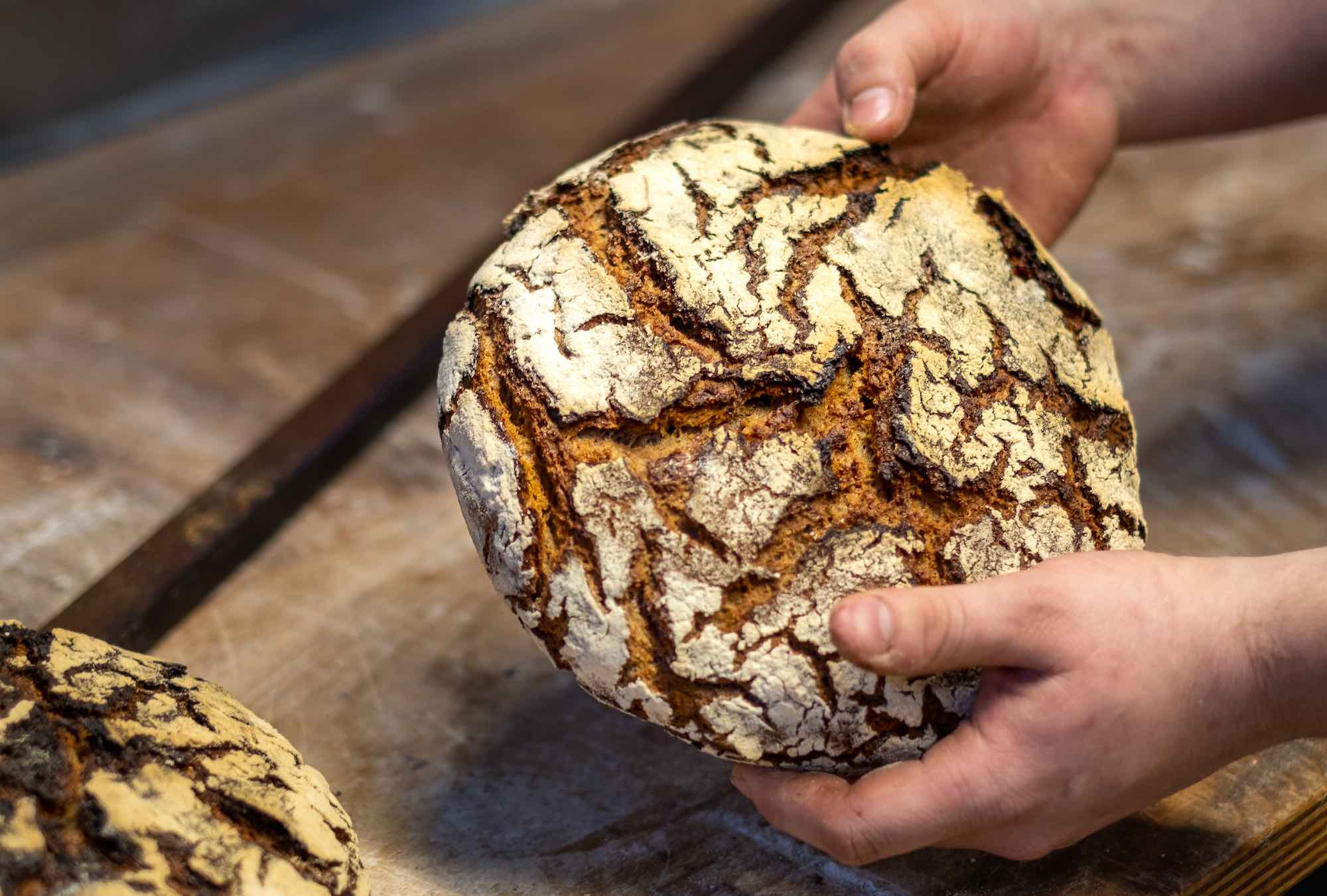 Mes Pâtisseries Enchantées , D'Elodie Martins : Tout Nouveau, Tout